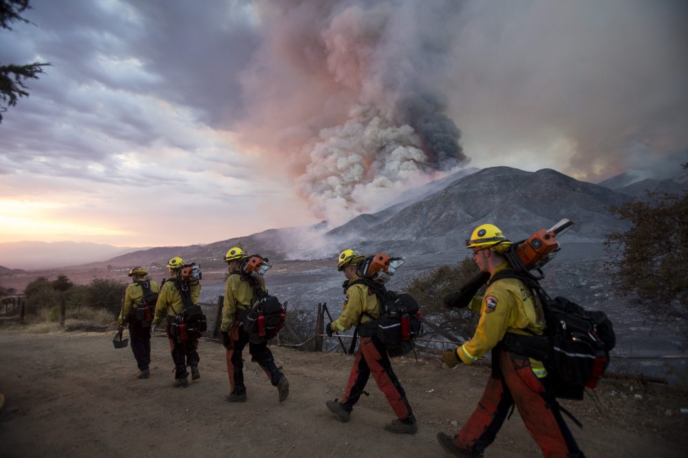 Wildfires_Photo_Gallery_93987