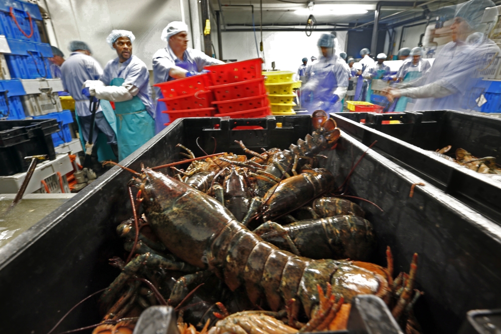 Trump Seafood