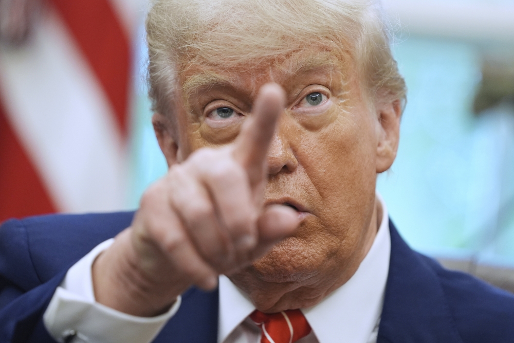 Immigrant Remittances